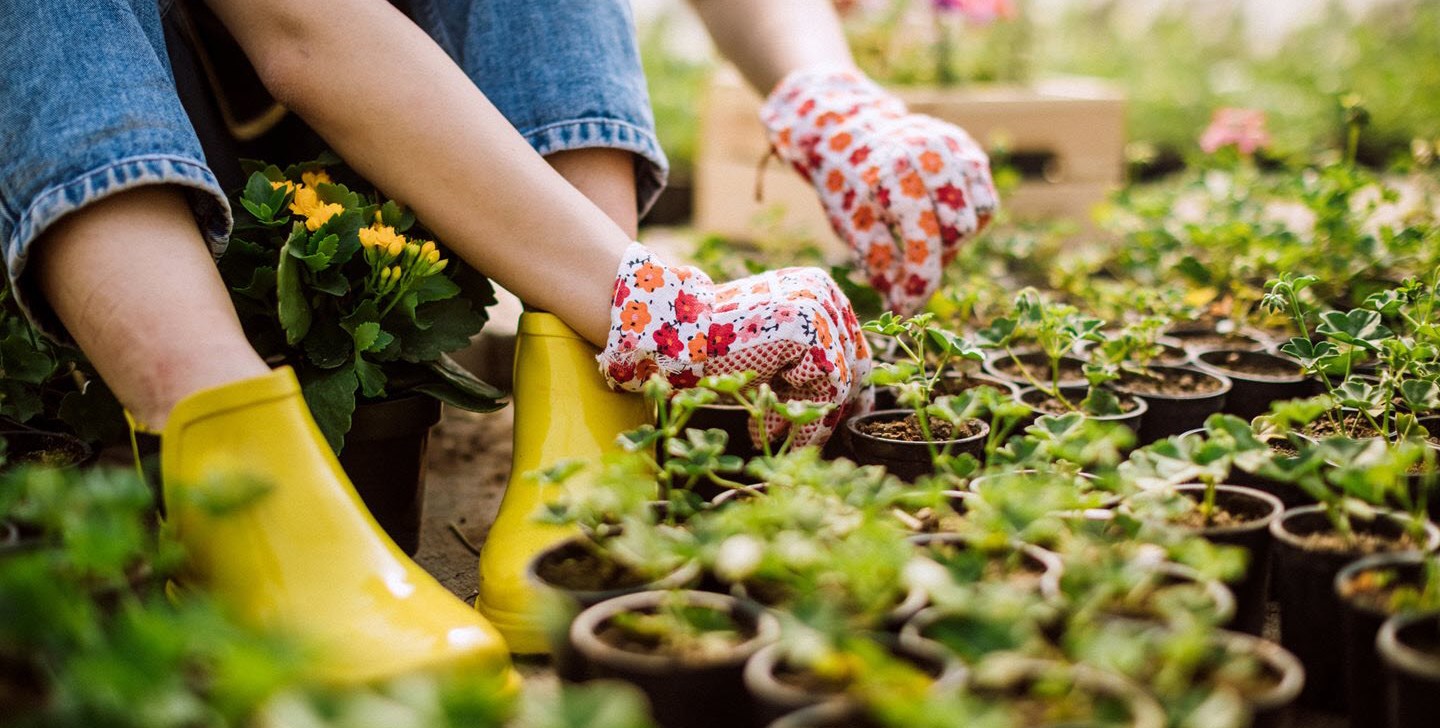 Gardening