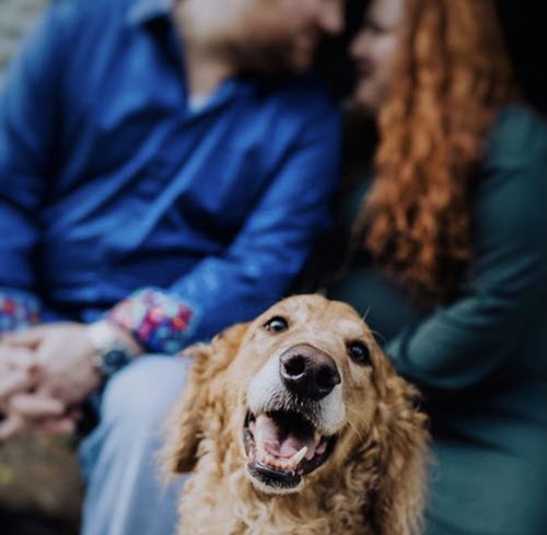 A couple with a dog